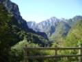 Panorama dalla foresteria