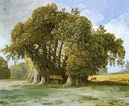 Castagno dei cento cavalli - Jean-Pierre Houl.jpg
